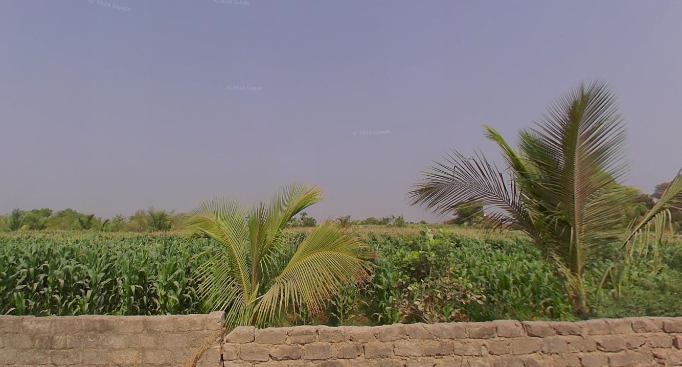 Agricultural land for sale in Raikal