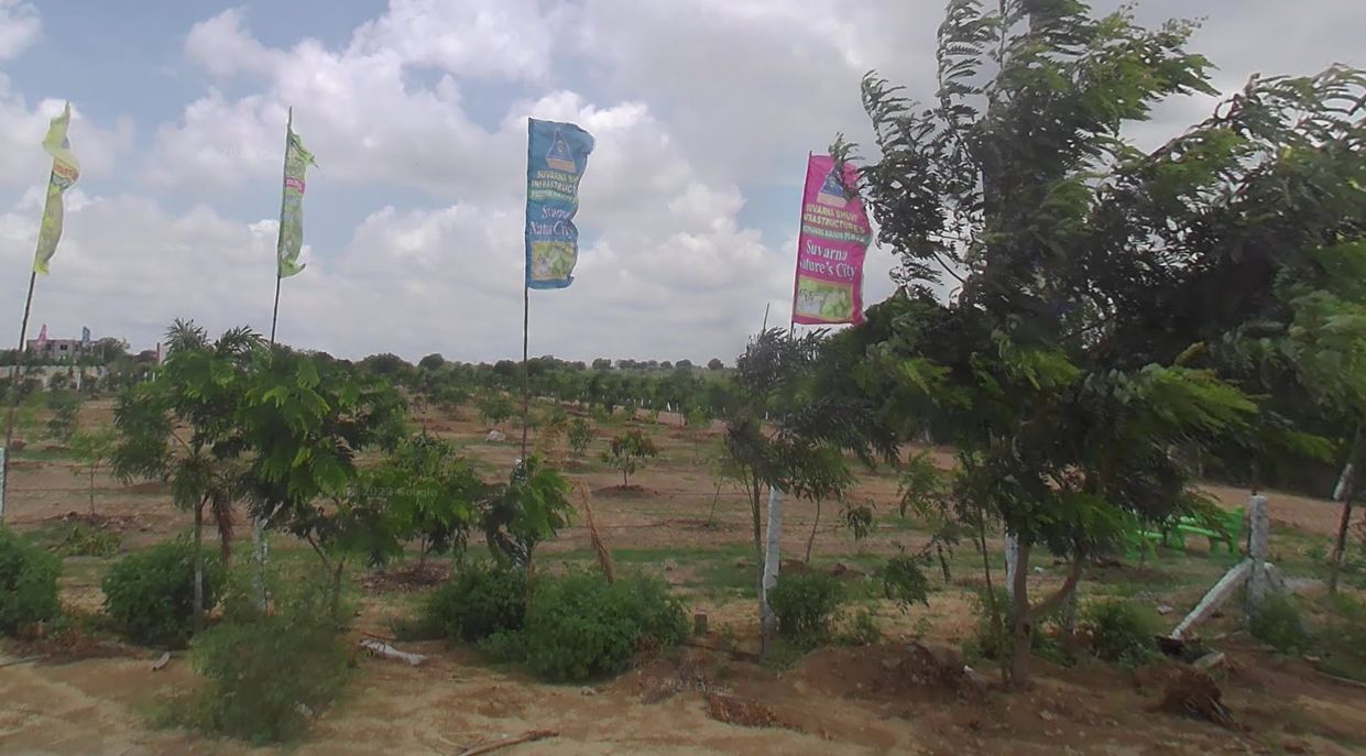 Farm land for sale in Surangal