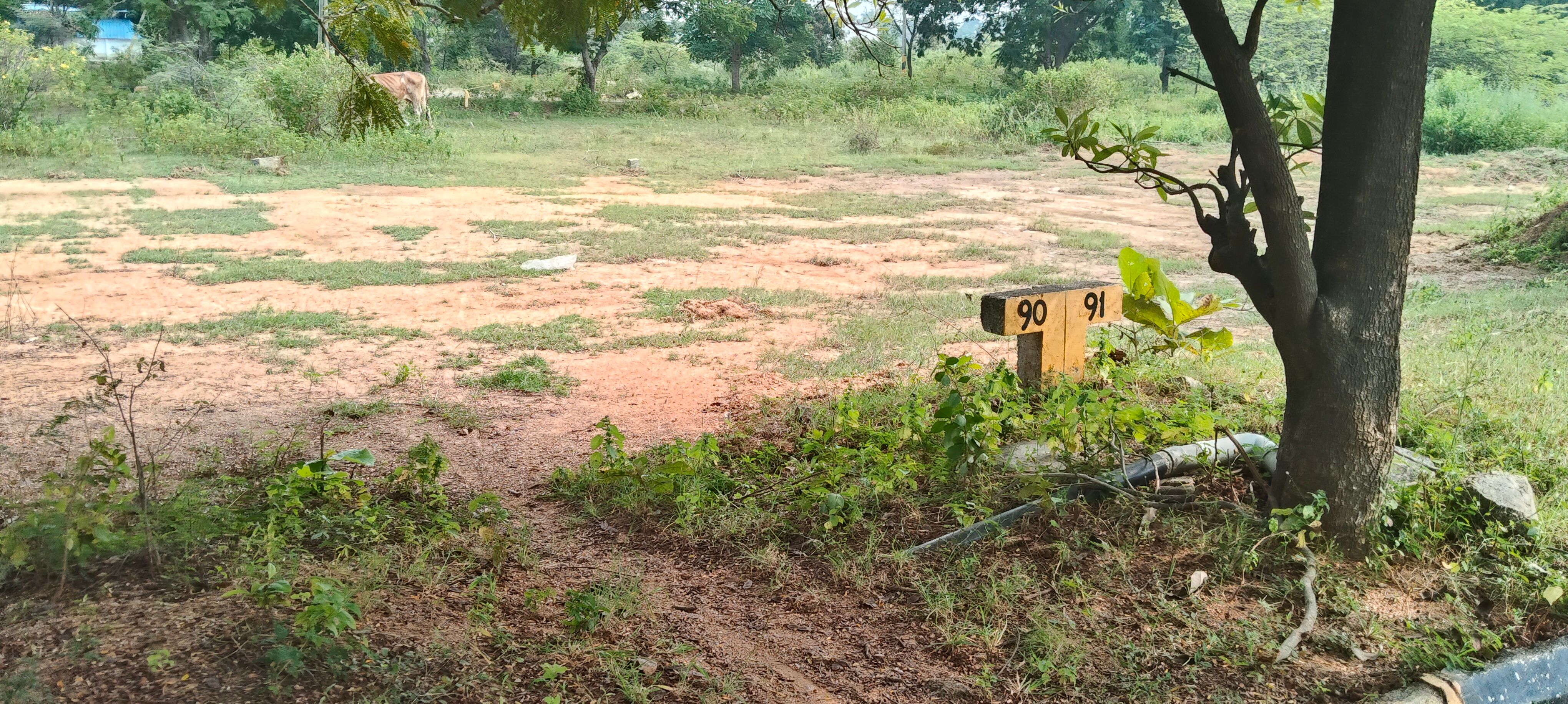 Residential Plot for sale in Shamirpet