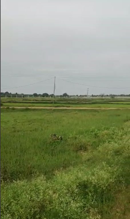 Agricultural land for sale in Mothighanapur