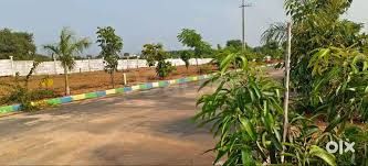Residential Plot for sale in Raigiri