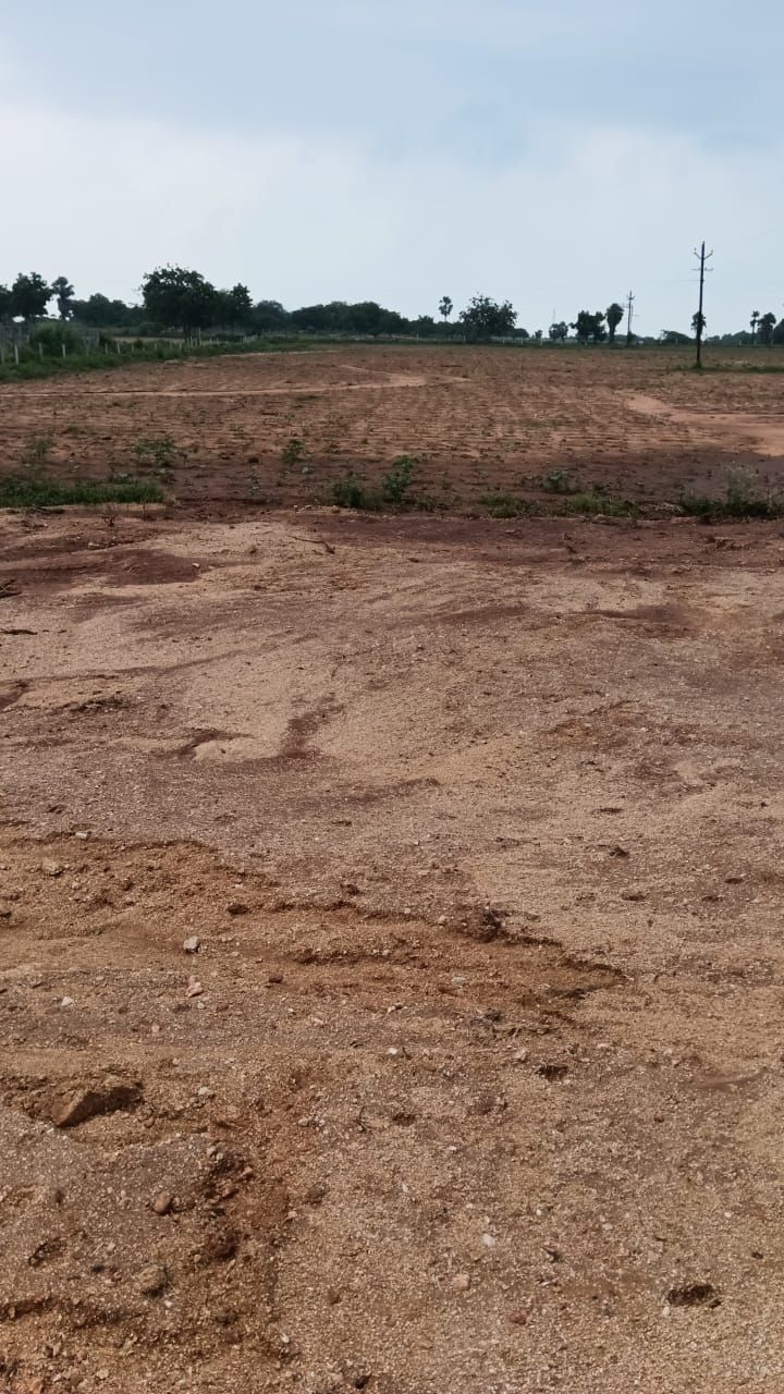 Agricultural land for sale in Panthangi