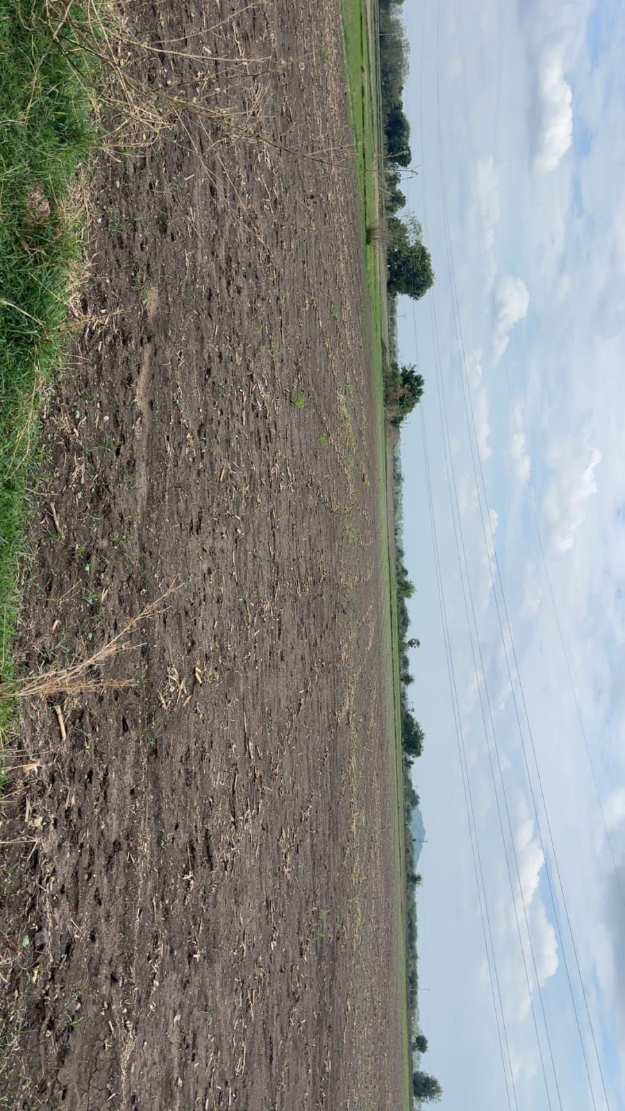 Agricultural land for sale in Maliyala