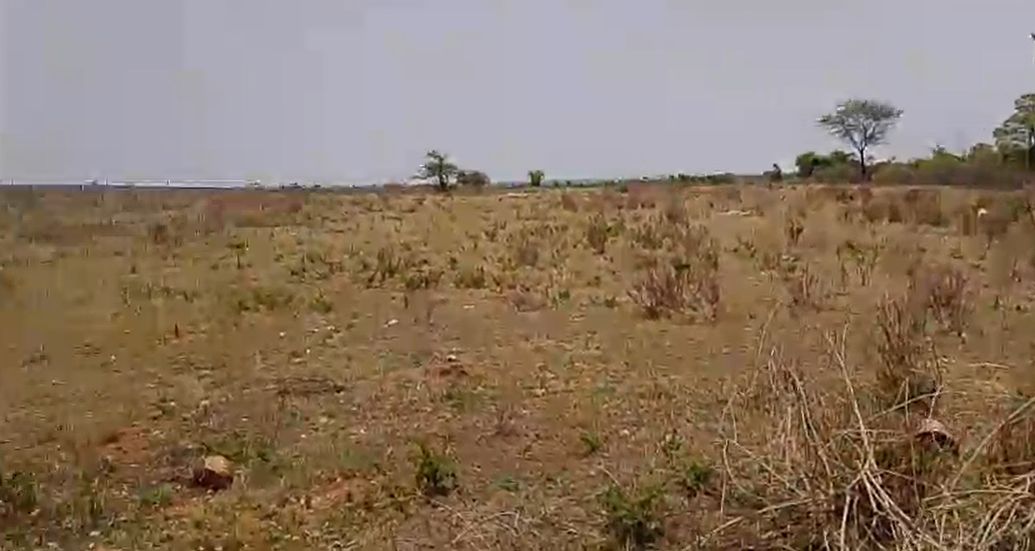 Agricultural land for sale in Pulumamidi