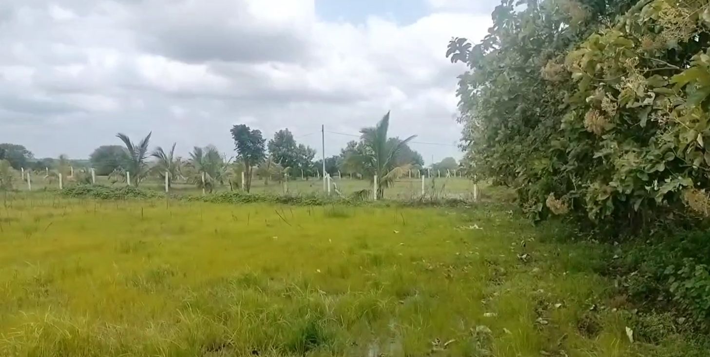 Agricultural land for sale in Elkatta