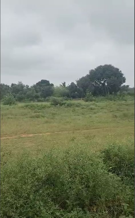 Agricultural land for sale in Nagaram