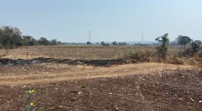 Agricultural land for sale in Tirumalapur