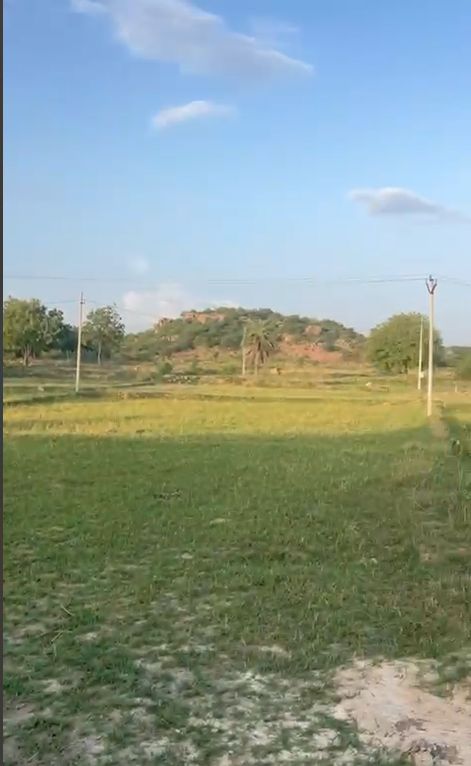 Agricultural land for sale in Konetipur