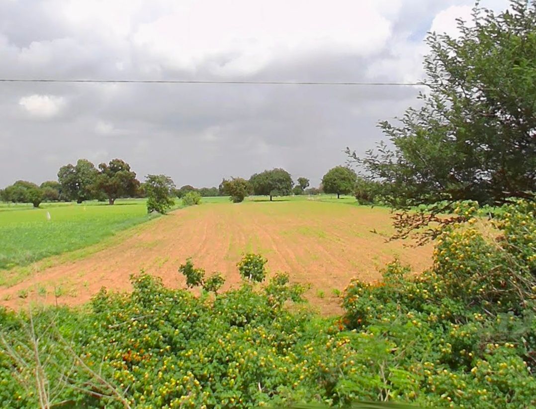 Agricultural land for sale in Ippatur