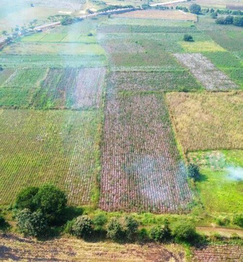 Agricultural land for sale in Kondurg
