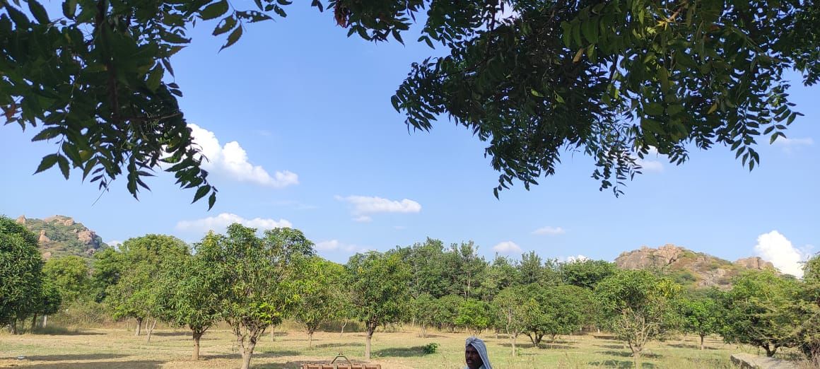 Agricultural land for sale in Damera