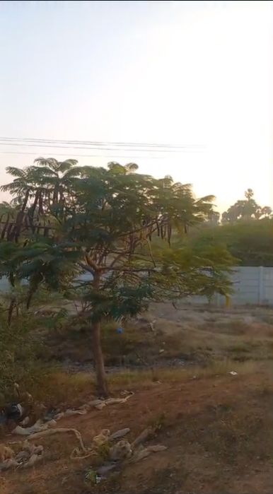 Commercial land for sale in Lingoji Guda