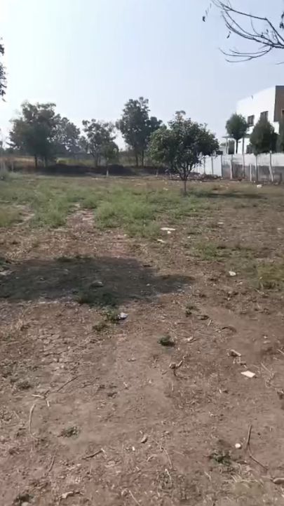 Farm land for sale in Surangal