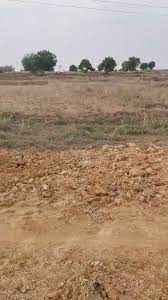 Agricultural land for sale in Dharur