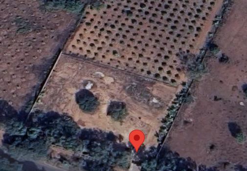 Agricultural land for sale in Appojiguda
