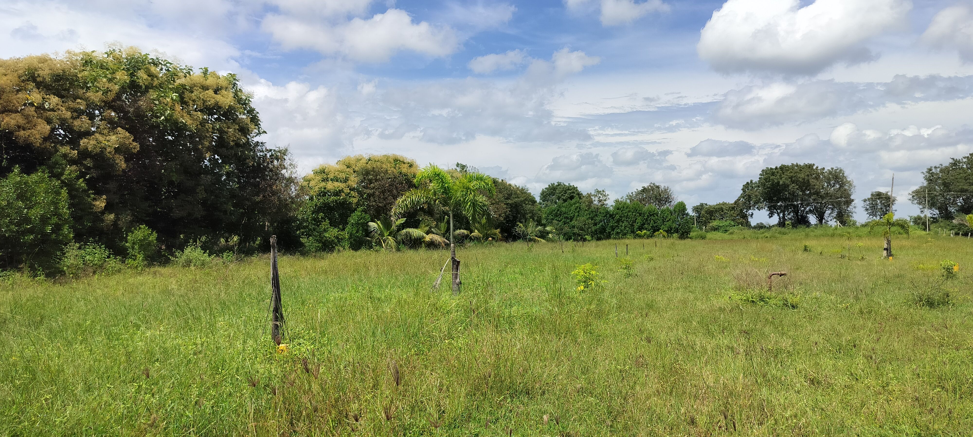 Residential Plot for sale in Kodicherla