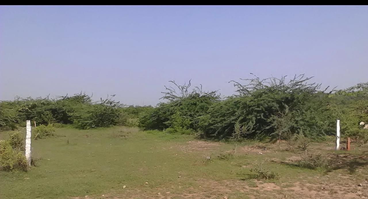 Residential Plot for sale in Nadargul