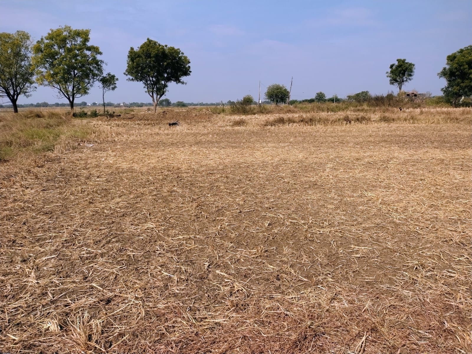 Agricultural land for sale in Dakoor