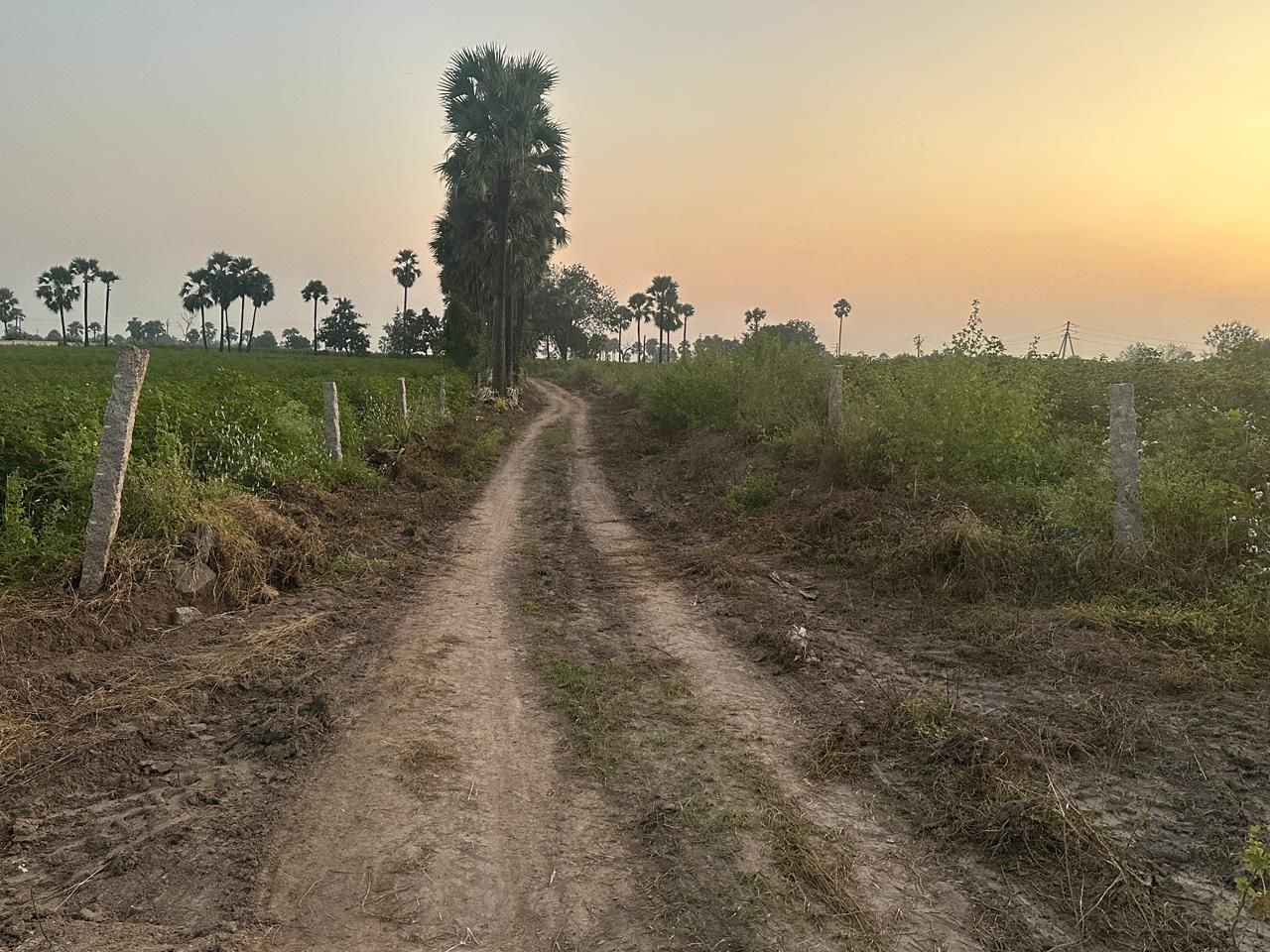 Agricultural land for sale in Lingoji Guda