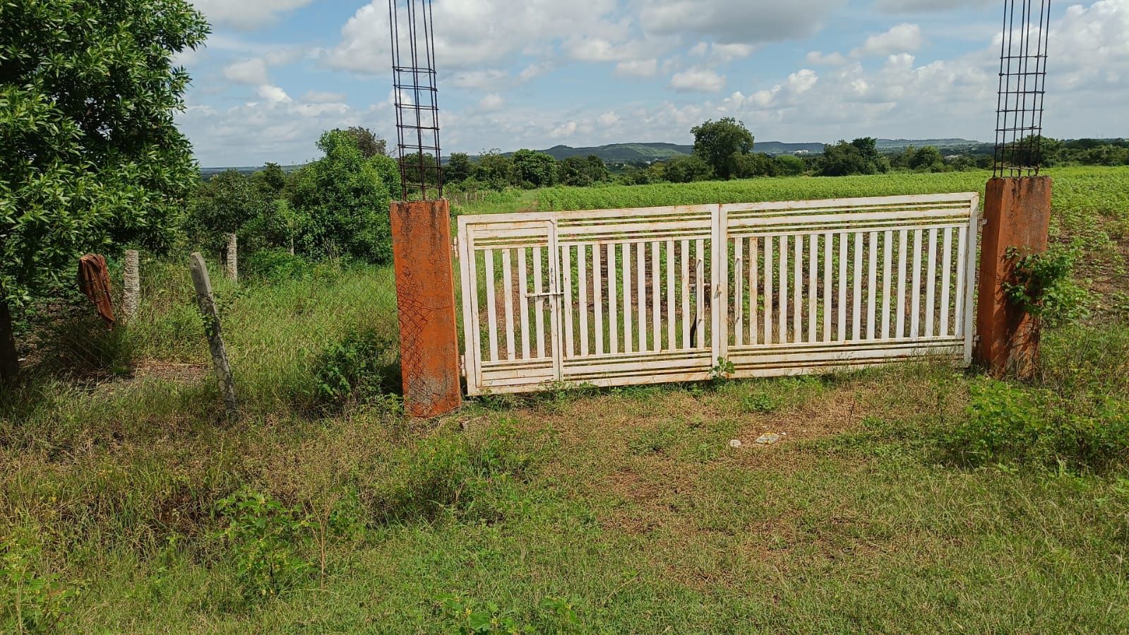 Agricultural land for sale in Dyacharam