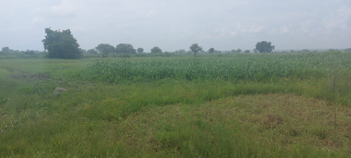 Agricultural land for sale in Basar