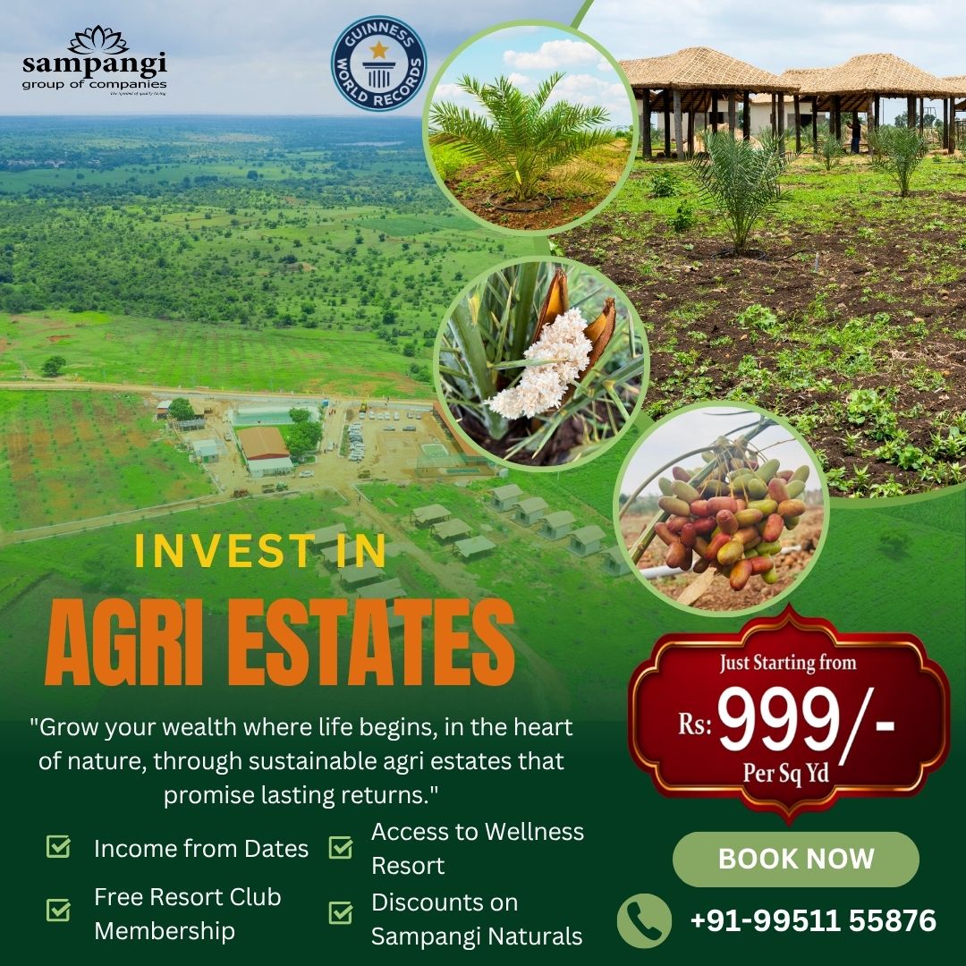 Farm land for sale in Narayankhed (CT)