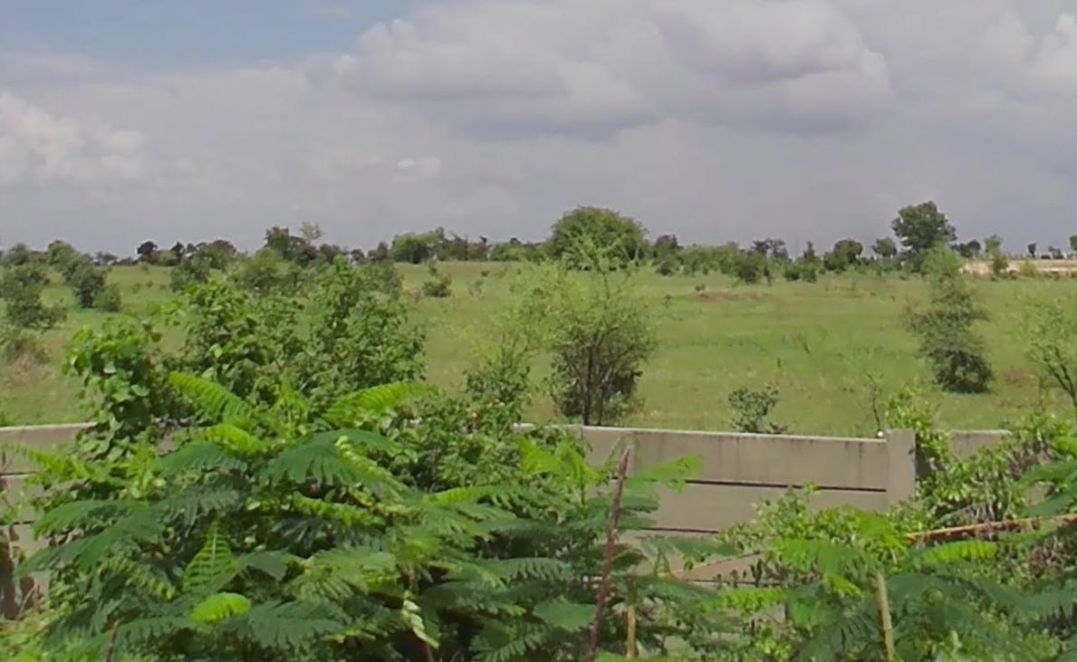 Agricultural land for sale in Kammeta