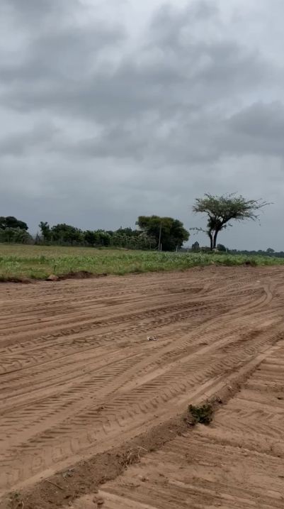 Agricultural land for sale in Balanagar