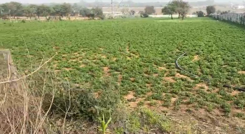 Agricultural land for sale in Gunded