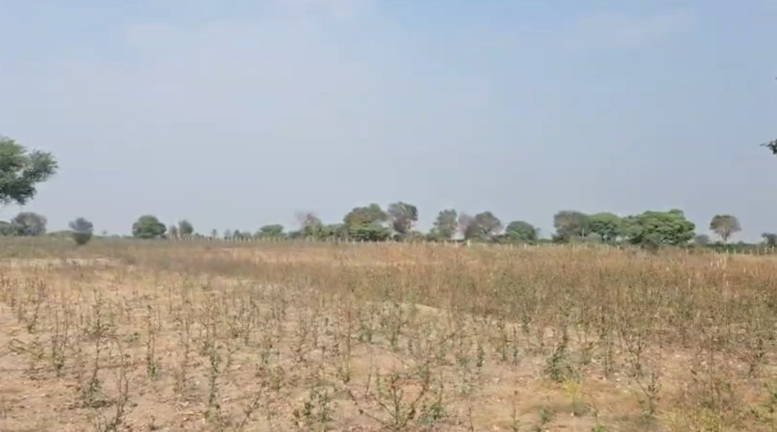 Agricultural land for sale in Goplapur (Kalan)