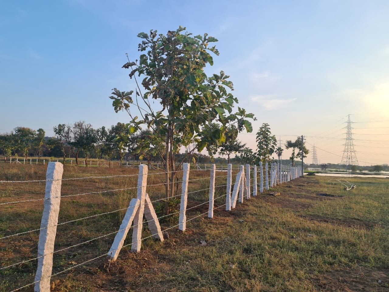 Commercial land for sale in Chityala