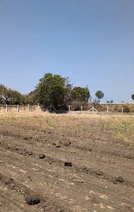 Agricultural land for sale in Manneguda (Sarecas)