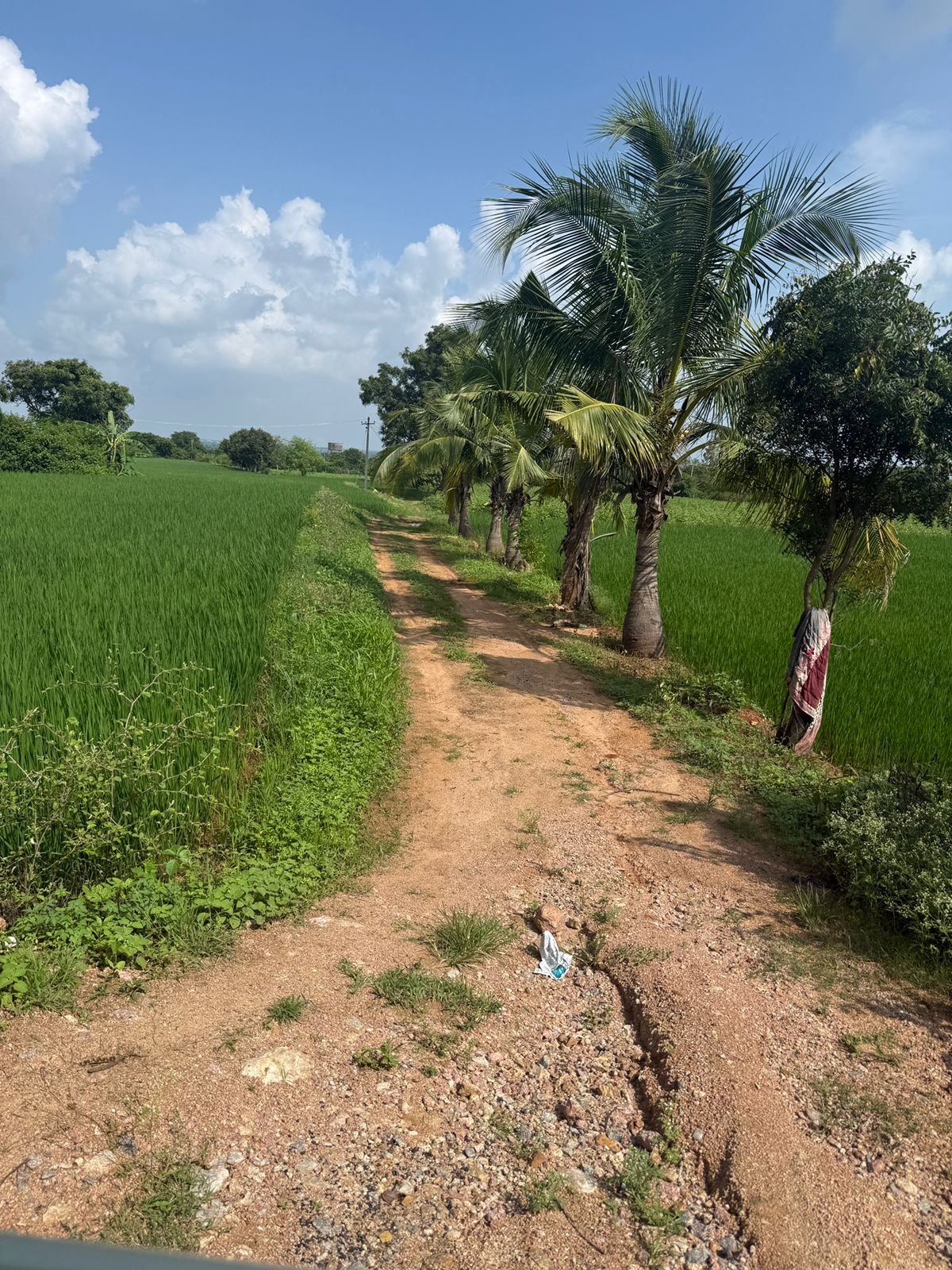 Agricultural land for sale in Toopra Khurd