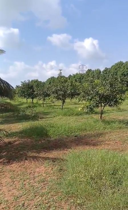 Agricultural land for sale in Elkatta