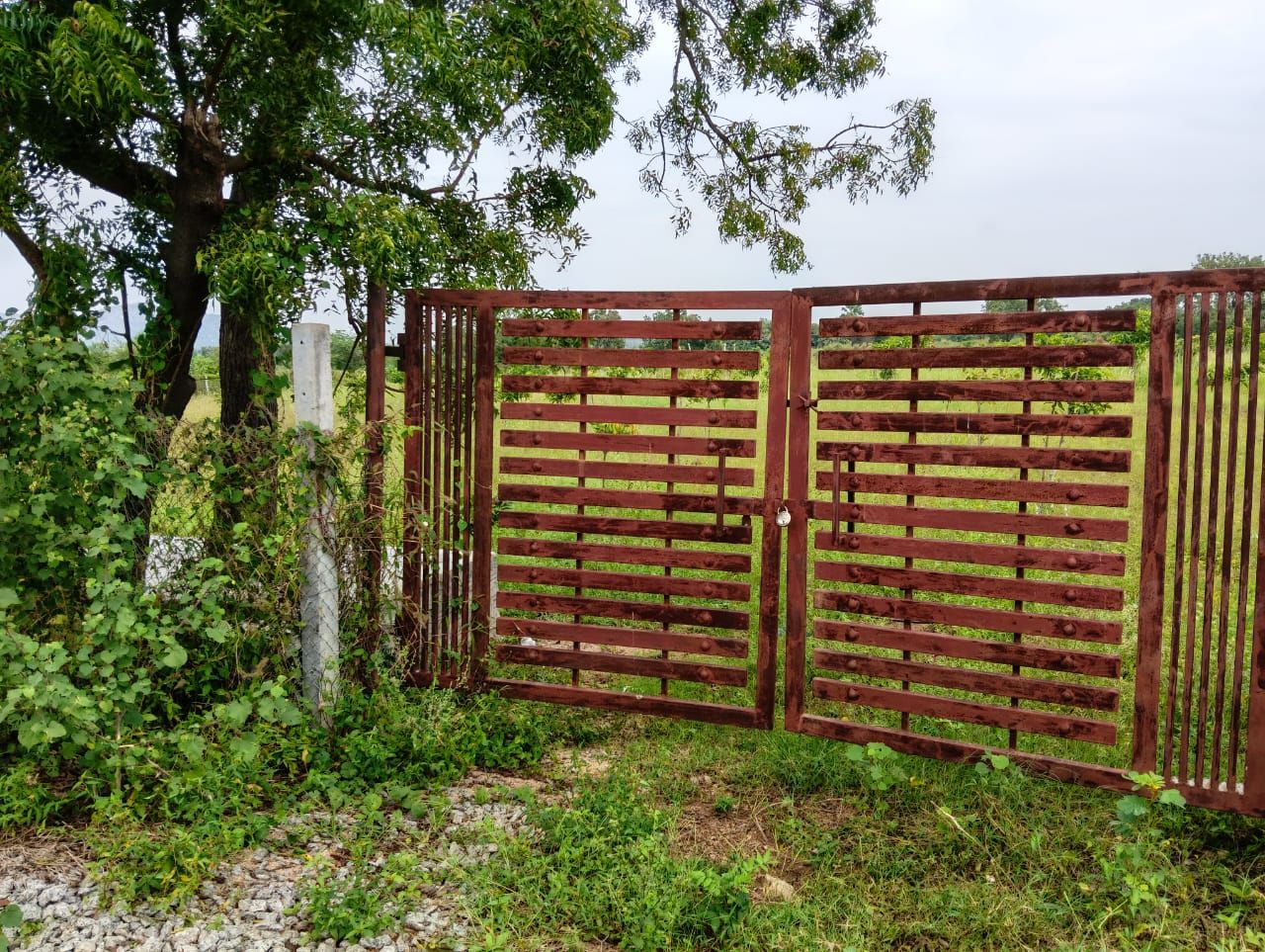 Agricultural land for sale in Jangaon