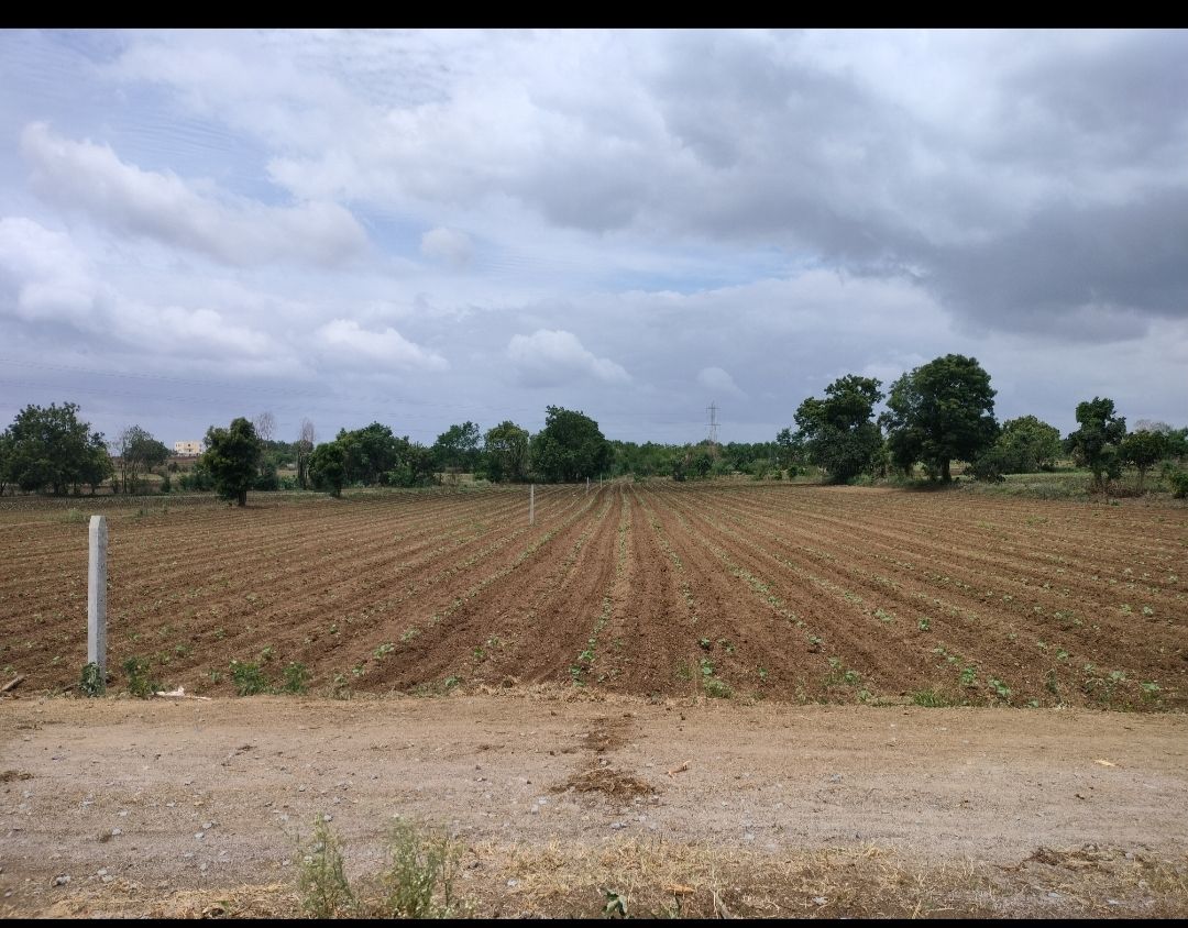 Farm land for sale in Chevella