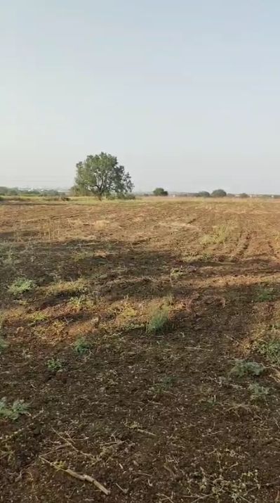 Agricultural land for sale in Yelwarthy