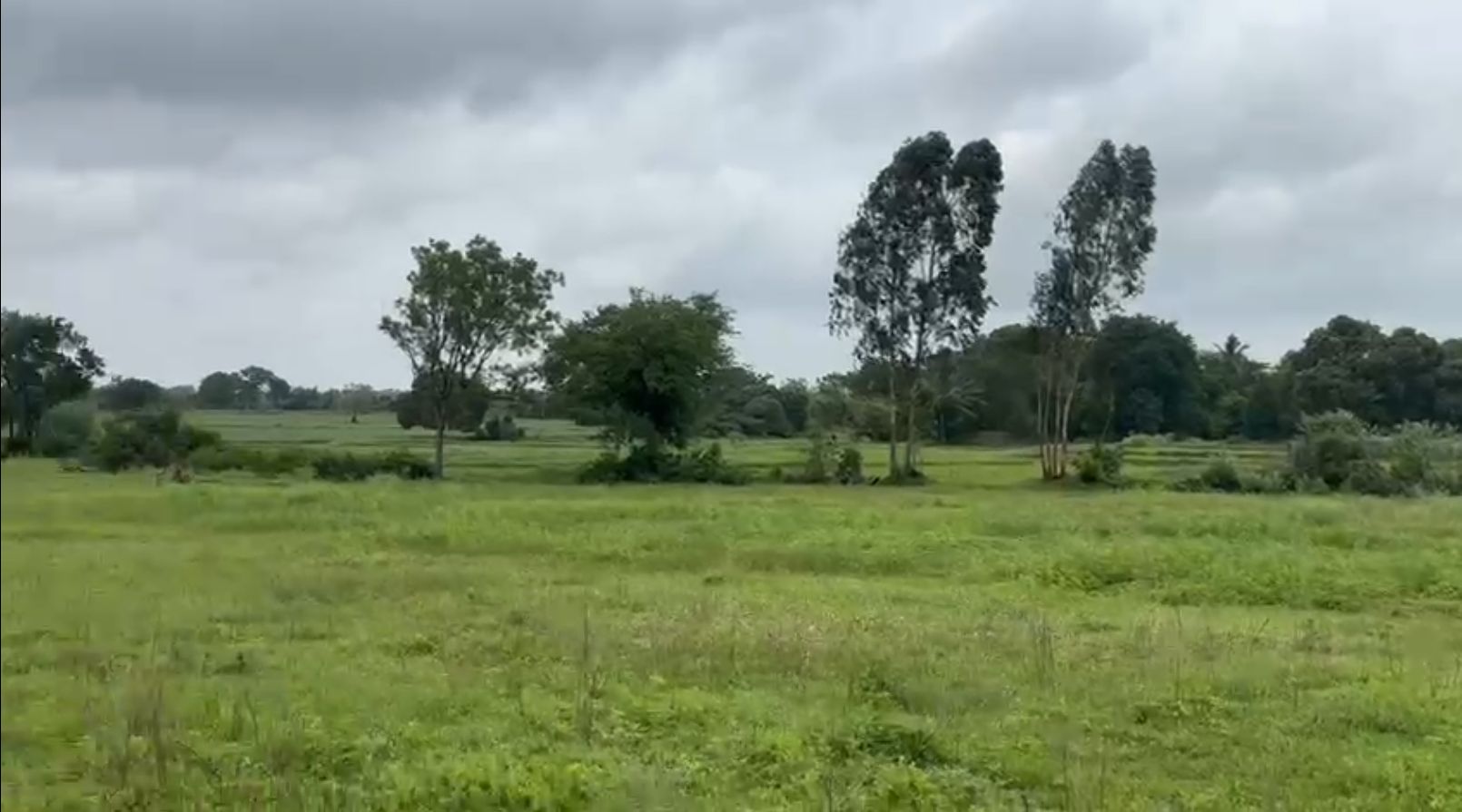 Agricultural land for sale in Balanagar