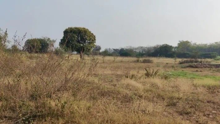 Agricultural land for sale in Amarlabanda