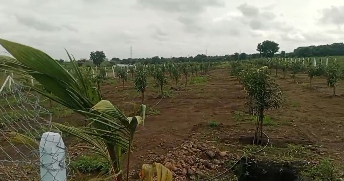 Agricultural land for sale in Chevella