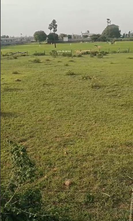 Agricultural land for sale in Nadargul