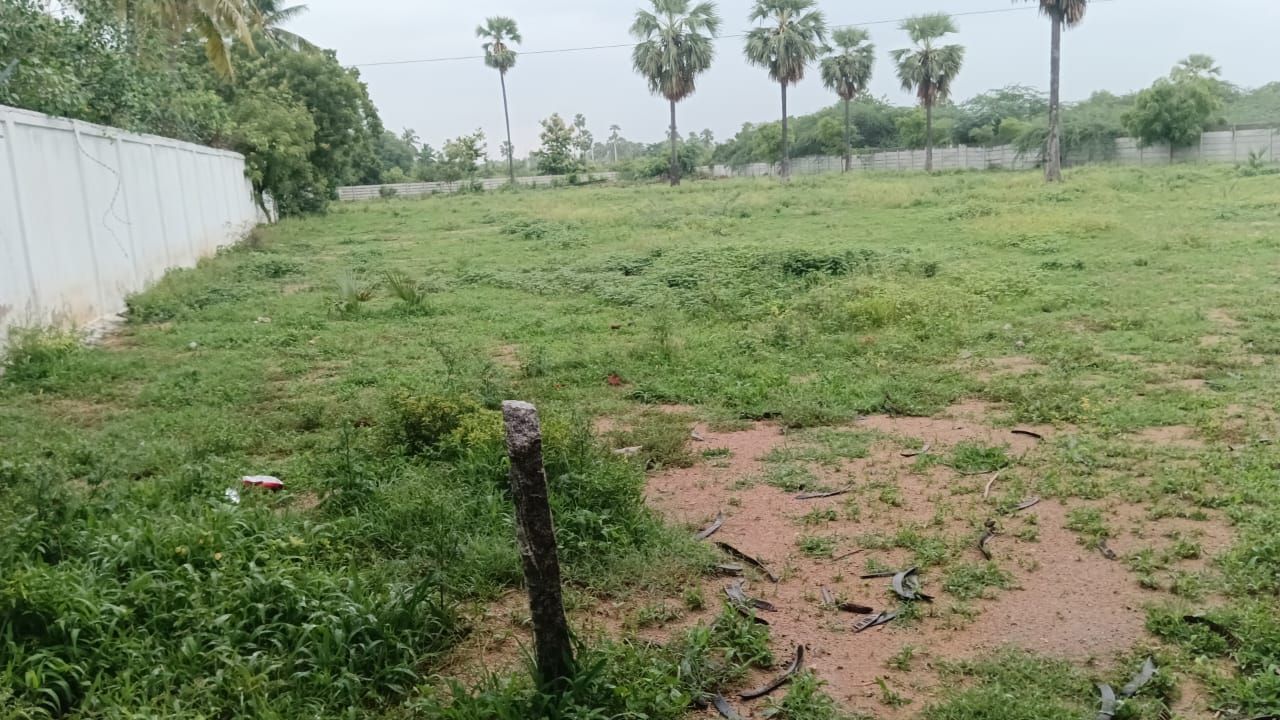 Agricultural land for sale in Panthangi