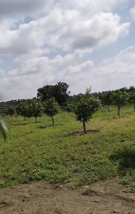 Agricultural land for sale in Mirjaguda