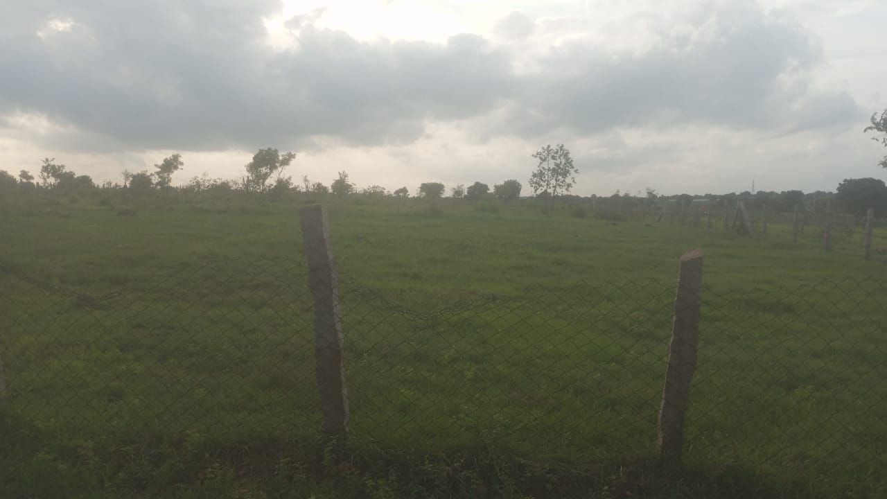 Agricultural land for sale in Chevella