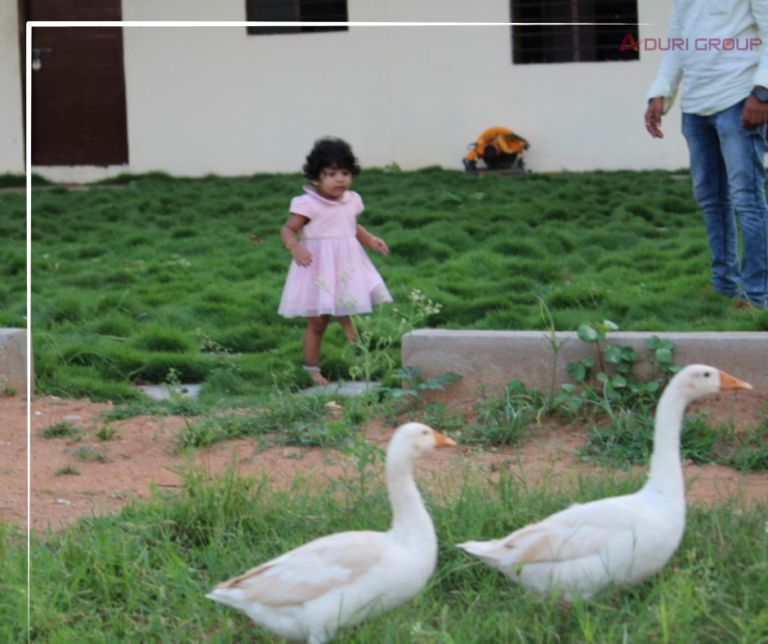 Residential Plot for sale in Shadnagar