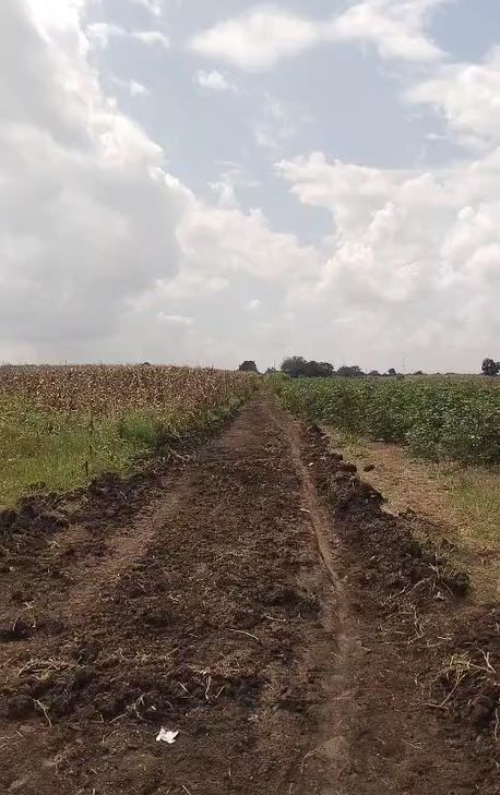 Agricultural land for sale in Nizampet Medipalle