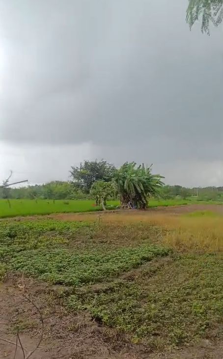 Agricultural land for sale