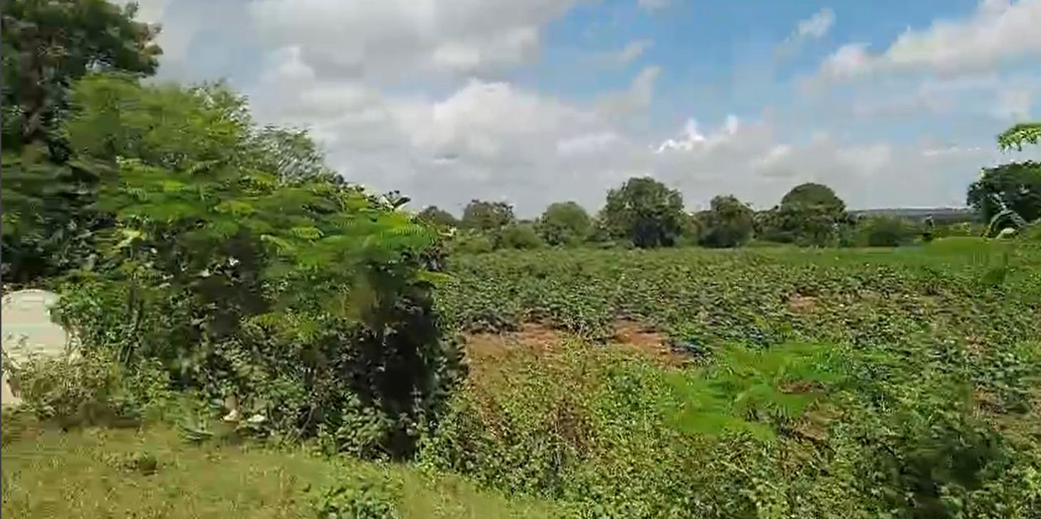 Agricultural land for sale in Manneguda (Sarecas)