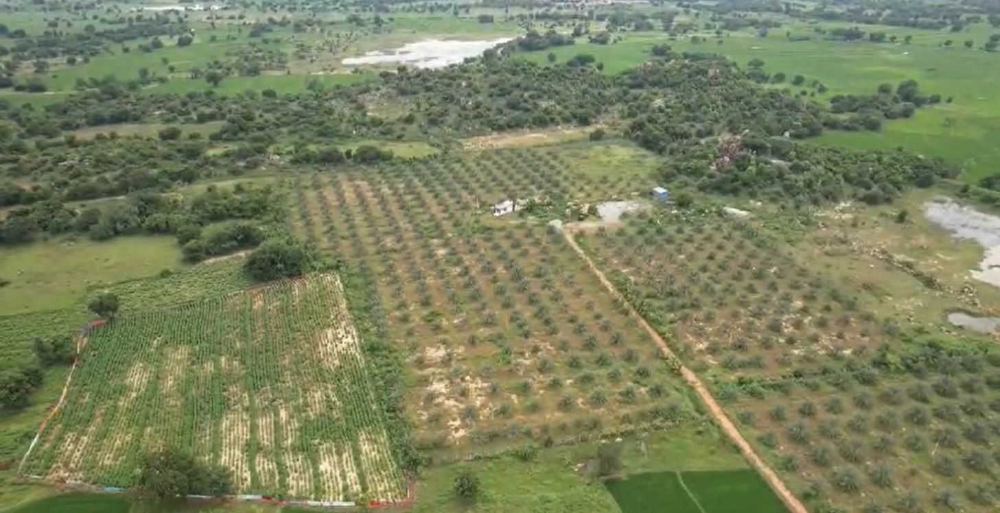 Agricultural land for sale in Raparthy