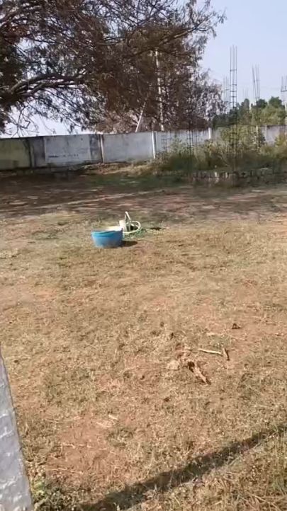 Farm land for sale in Sriramnagar